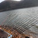삼일비니루 Daum카페
