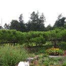 휴엔조이 이미지