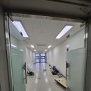 디엘디(DLD) 이미지