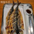 해일수산