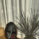 에스라헤어 - 용인시 기흥구 | 에스라헤어