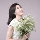 비볼코리아 이미지