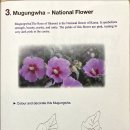 Ch.3-3. Mugunghwa - National Flower 이미지