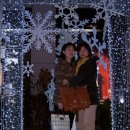 밀레오레 이미지