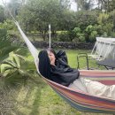 제주 야자원 이미지