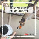 에스엠마린 | 체험가득, 드라이브하며 구경하는 태국 방콕 사파리월드 아이는 대만족