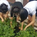 흥선농장 이미지