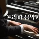 프라하음악학원 이미지