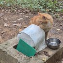 서봉산 산림욕장 1 이미지