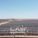 세비야태양광발전소 이미지
