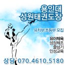 용인대성원태권도장 이미지
