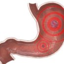 강내과의원·서강약손한의원 이미지