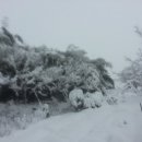 민기농장 이미지