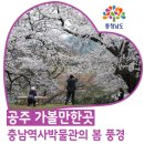 충남역사박물관 이미지