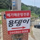 [세종 - 매운탕전문] 용뎅이 뷰 맛집 소개~ 솔직 얼큰한 후기!