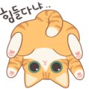 인하정문약국 이미지
