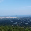 새섬다리 이미지