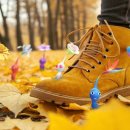 주식회사 프리덤소울 이미지