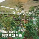 아라리쉼터 | 인조조경 전문업체, 자체 제작 조화나무 플랜테리어 연출, 왕십리역 아래숲길