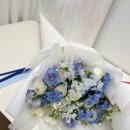 퀸즈빌플라워 이미지