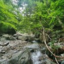 뒷골2로 이미지