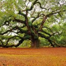 최진내과의원 이미지