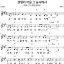 갈릴리A 이미지