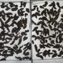 약수정한의원 이미지