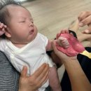 신생아 손발조형물 | 여기저기 추천하고싶은 도담베이비 후기 (내돈내산)