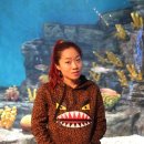 태수아쿠아 이미지