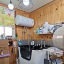 박선생 도그살롱 이미지