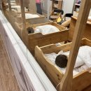 성모산후조리원 | 성모산후조리원 입소 첫날