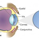 대구24시라이프동물의료센터 이미지