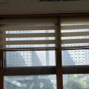 나들이 (마곡나루 디저트 카페 &#39;212베이크샵&#39;, 대구 하빈 카페 &#39;마르텐사이트&#39;, &#39;봉무공원&#39; 방문 후기)