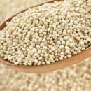 아마란스 이미지