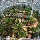 연기면_호수공원중앙수목원로 | 겨울철 따듯한 실내 온실-국립세종수목원, 열대관,지중해관,사막관,수생식물관