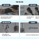 하이엠 이미지