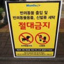 워시엔조이셀프빨래방진주 이미지