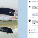 센트럴파란문약국 이미지