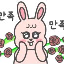 피삼십일 이미지