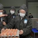 선유팜 이미지