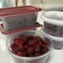 보경농장 | 보경 산딸기 선물 받은 후기(포항보경산딸기, 송라산딸기)