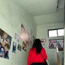 이야옹 | 강릉 카페, 강릉 여행 카페, 일본 애니 캐릭터 굿즈, 이로이로스모모