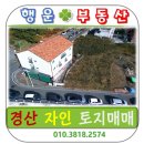 자인파출소 이미지