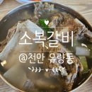 [공지] 소복갈비 천안점 | 유량동 소갈비 천안 갈비탕