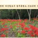 산호동136 이미지