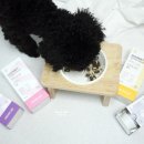 고메이 퍼피 이미지