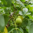 숲속옹달샘도서관 이미지