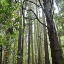 오고생이 이미지