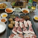 수돈돈 이미지